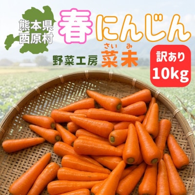 熊本県産 春にんじん(訳あり)10kg 菜未ファーム(西原村)
