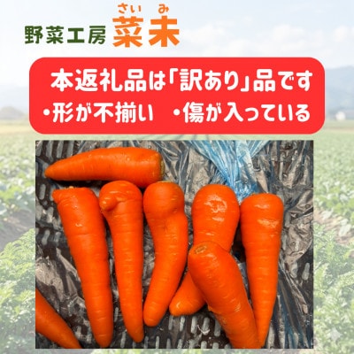 熊本県産 春にんじん(訳あり)10kg 菜未ファーム(西原村)