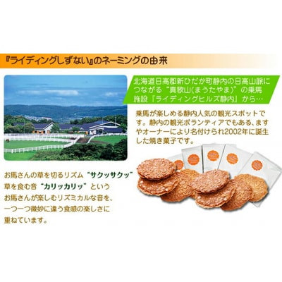 サラブレッドの街 静内の手焼きサブレ　ライディングしずない 15個入り