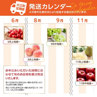 《先行受付》山形フルーツ人気ベスト5★【定期便全5回】 060-T13