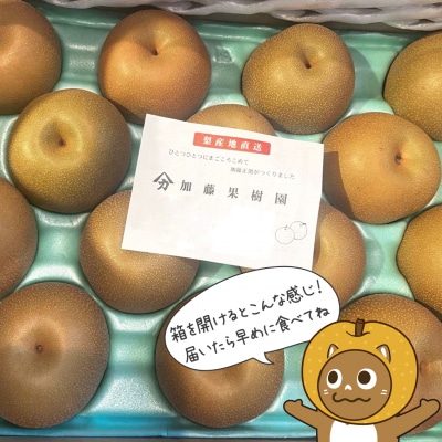 ◎幸水◎ 【30件限定追加】●生育が良好のため● さかいの梨幸水 3kg (限定80箱)