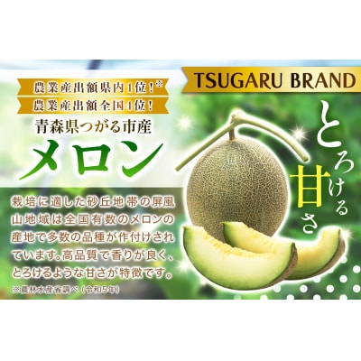 キスロマン メロン 約1.8kg×2玉 [0862]