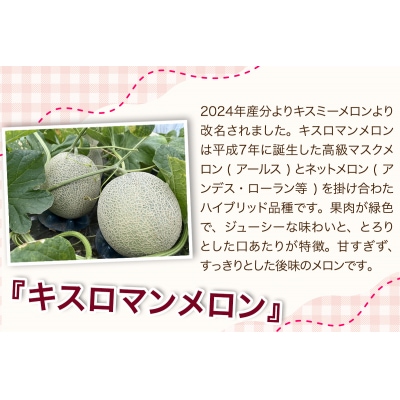 キスロマン メロン 約1.8kg×2玉 [0862]