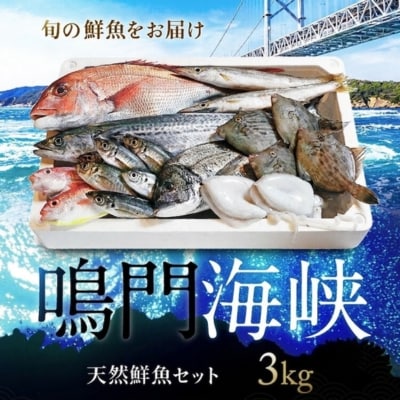 鳴門海峡 冷凍 鮮魚セット 3kg (魚種:4～5種)