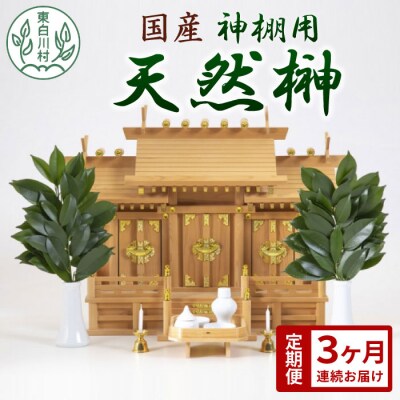 【3ヶ月連続お届け定期便】神棚用 国産榊 2束