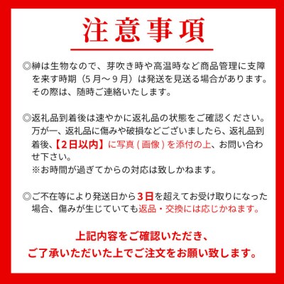 【3ヶ月連続お届け定期便】神棚用 国産榊 2束