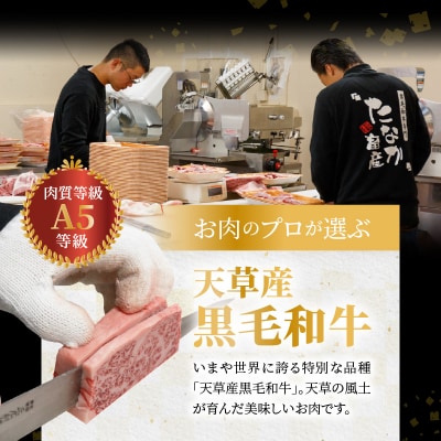 【指定日必須】天草産 黒毛和牛 A5等級 特選サーロインステーキ 2枚_S001-015A