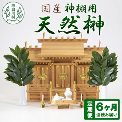 【6ヵ月連続お届け定期便】 神棚用 国産榊 2束