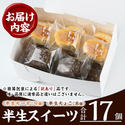 【訳あり】半生ちーず・半生ちょこ スフレ チーズケーキ と チョコレートケーキ 詰合せ 合計17個