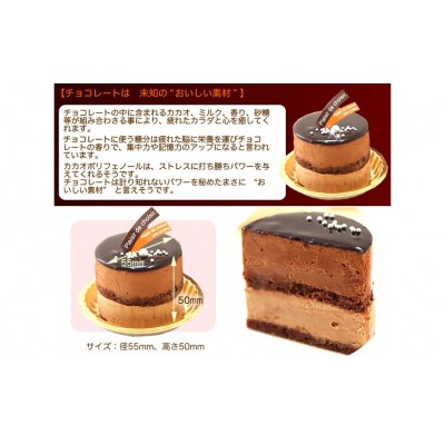 リッチな味わい♪チョコレートケーキ『とろける生ショコラ』　北海道・新ひだか町のオリジナルケーキ