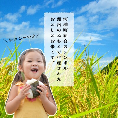 〈2026年産〉河浦町新合産　コシヒカリ　精米　6kg(3kg×2)_S112-005A