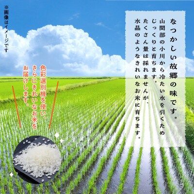 〈2026年産〉河浦町新合産　コシヒカリ　精米　6kg(3kg×2)_S112-005A