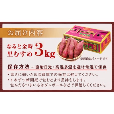 【先行受付中・2026年9月下旬頃より順次発送】なると金時(里むすめ)3kg