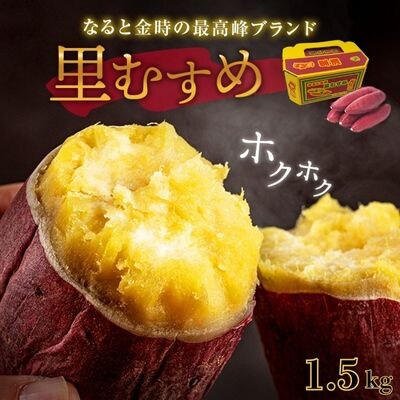 【先行受付中・2026年9月下旬頃より順次発送】なると金時(里むすめ)1.5kg