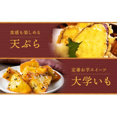 【先行受付中・2026年9月下旬頃より順次発送】なると金時(里むすめ)1.5kg