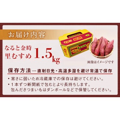 【先行受付中・2026年9月下旬頃より順次発送】なると金時(里むすめ)1.5kg