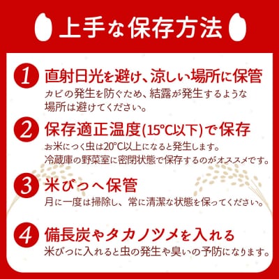 【新米受付】R8年産 つや姫 10kg【10月より順次発送】