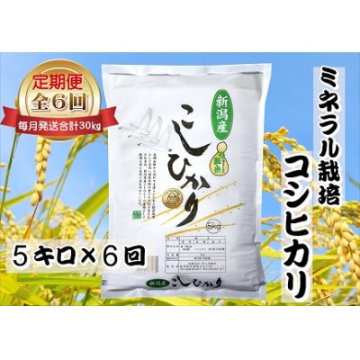 【令和7年産】【6回定期便 】ミネラル栽培こしひかり 5kg×6回 計30kg 井上米穀店