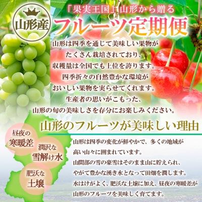 【定期便8回】ノノハナフルーツ やまがた旬暦定期便 FY25-590