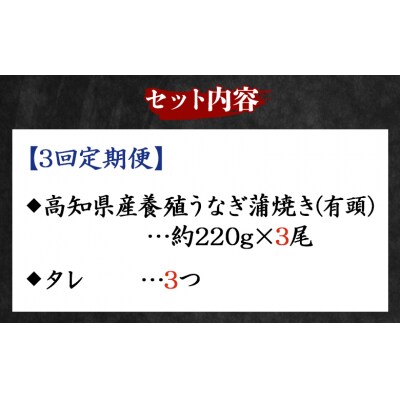 【3回定期便】高知県産養殖うなぎ蒲焼き 約220g×3尾 Wfb-0066