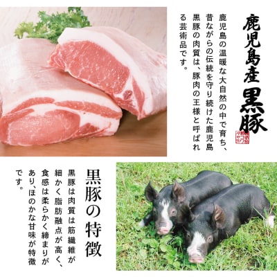 【毎月届く定期便】黒豚のプロフェッショナル「コワダヤ」の厳選黒豚味わい尽くしコース(全12回)