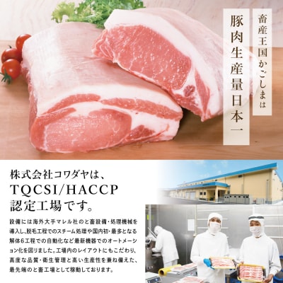 【定期便 全6回】鹿児島産 豚肉3種類セット 1.6kg×6回(合計9.6kg)[奇数月お届け]