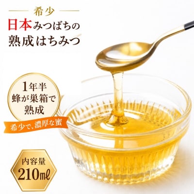 国産日本ミツバチ熟成はちみつ　百花蜂蜜210g*392