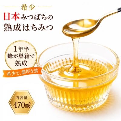国産日本ミツバチ熟成はちみつ　百花蜂蜜470g*420