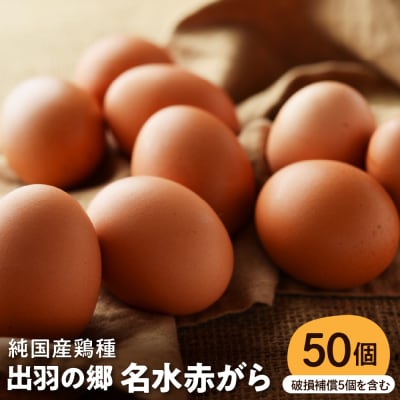 【山形県東根市産】出羽の郷名水赤がら50個入(破損補償5個を含む) 半澤鶏卵提供 hi071-003