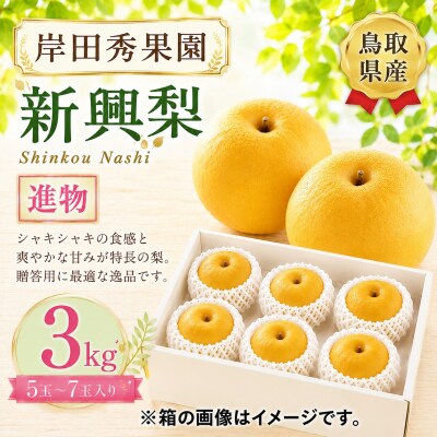 【予約受付中】岸田秀果園 新興 進物用3kg