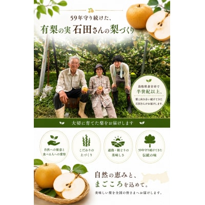 【予約受付中】有梨の実石田 二十世紀梨 自家用5㎏