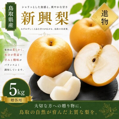 【予約受付中】有梨の実石田 新興 進物用5kg