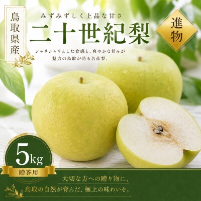 【予約受付中】有梨の実石田 二十世紀梨 進物用5kg