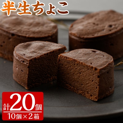 軽い食感のチョコケーキ 半生ちょこ20個 (小分け・箱入り)