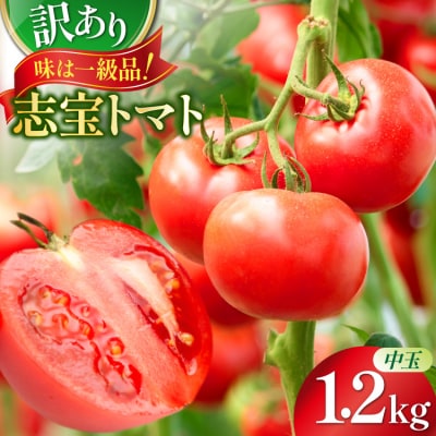 志宝トマト シンディスイート 中玉 1.2kg [モアショップヤマモト 石川県 38600593]