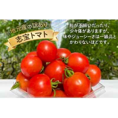 志宝トマト シンディスイート 中玉 1.2kg [モアショップヤマモト 石川県 38600593]