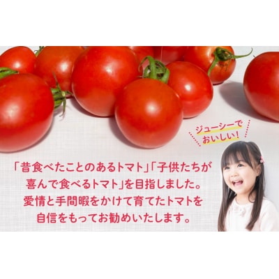 志宝トマト シンディスイート 中玉 1.2kg [モアショップヤマモト 石川県 38600593]