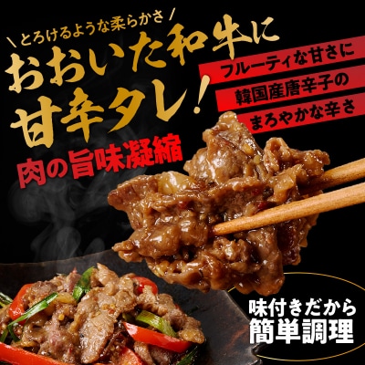 【おおいた和牛】タレ漬け焼肉 200g×5p_2748R