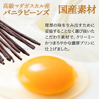 あきたプリン亭 食べ比べ!ラムネ&なめらか 各6個 計12個入り|02_apt-280601