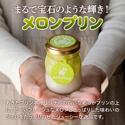 あきたプリン亭 食べ比べ!メロン&なめらかプリンセット 各3個|02_apt-300301