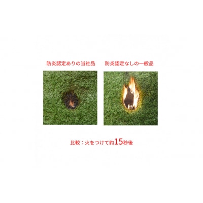 防炎防草人工芝 1m×2m BPB-3012