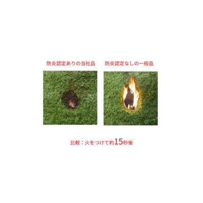 防炎防草人工芝 1m×10m BPB-30110