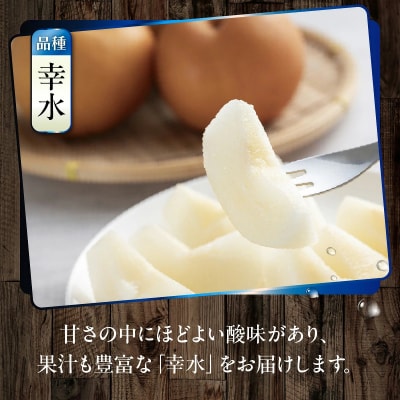 【先行受付】令和8年発送/辰口農園の橋上梨約5kg(品種:幸水)_1018R