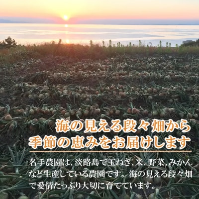 【新たまねぎ】名手農園の淡路島特産玉ねぎ10kg　an03029
