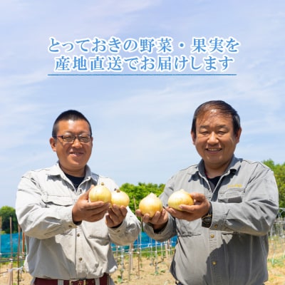 【新たまねぎ】名手農園の淡路島特産玉ねぎ10kg　an03029