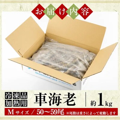 ＜数量限定＞冷凍車えび 約1kg Mサイズ(50～59尾・加熱用)【MBC開発】B-136-C