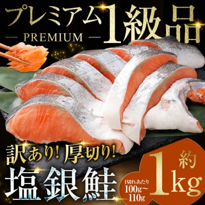 【 訳あり 】 プレミアム1級品 厚切り塩銀鮭 切り身 1kg