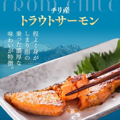 トラウトサーモンフィーレ (計2.5kg・2枚入)
