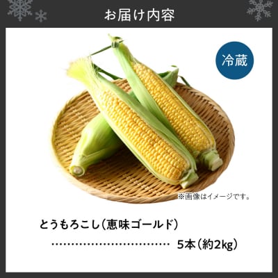 とうもろこし(恵味ゴールド) 5本(約2kg)_hs504-001