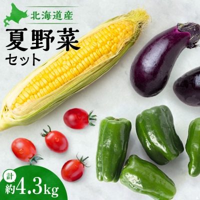 夏野菜セット_hs504-004